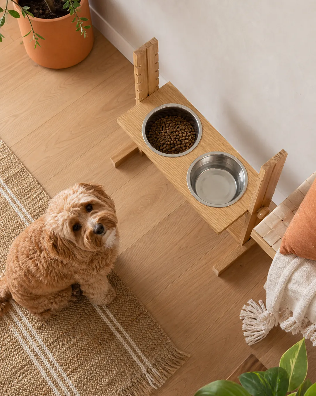 Elevated dog bowl stand showing the height adjustment notches on its legs